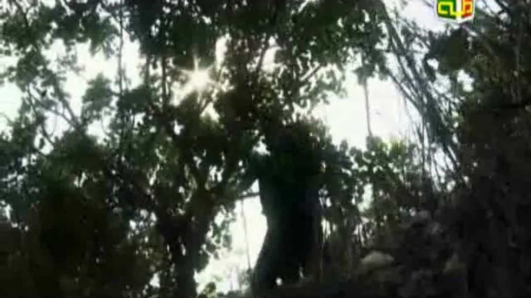 أنشودة الطبيعة - قناة طه