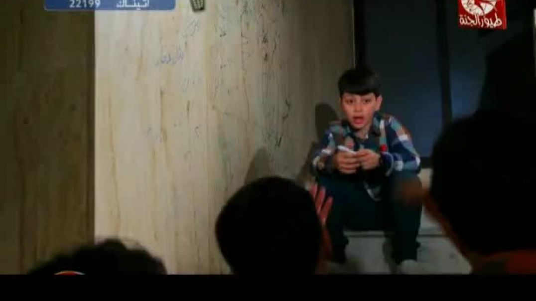 أنشودة شخابيط - طيور الجنة