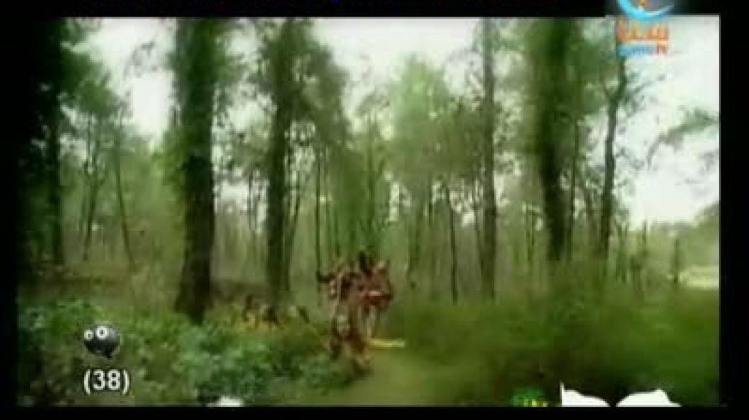 أنشودة روض الإيمان - قناة سنا