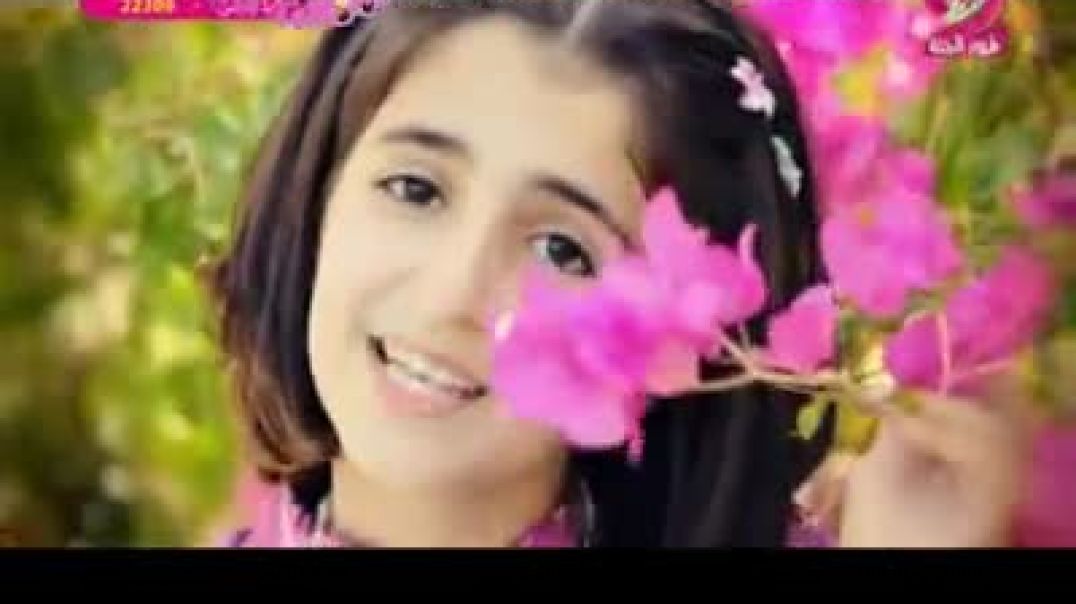 أنشودة الجنة - طيور الجنة