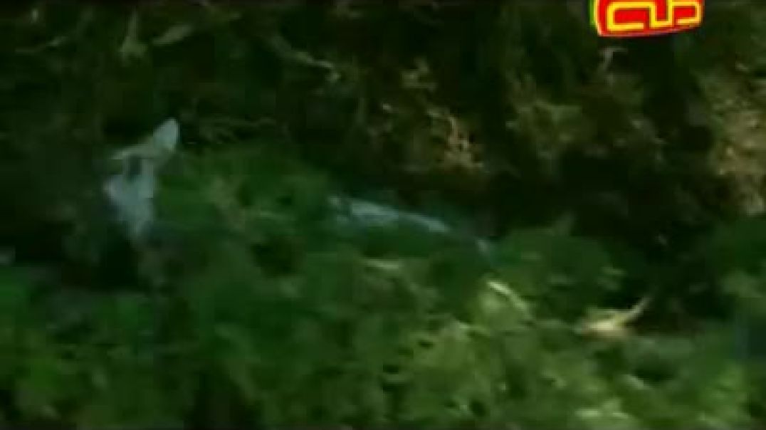 أنشودة أنا وبابا وماما - قناة طه