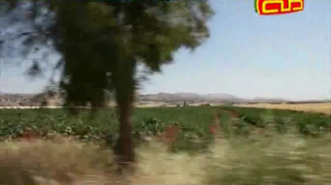 أنشودة السنبلة - قناة طه