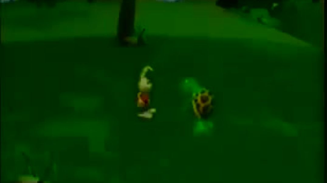 أنشودة الأرنب والسّلحفاة