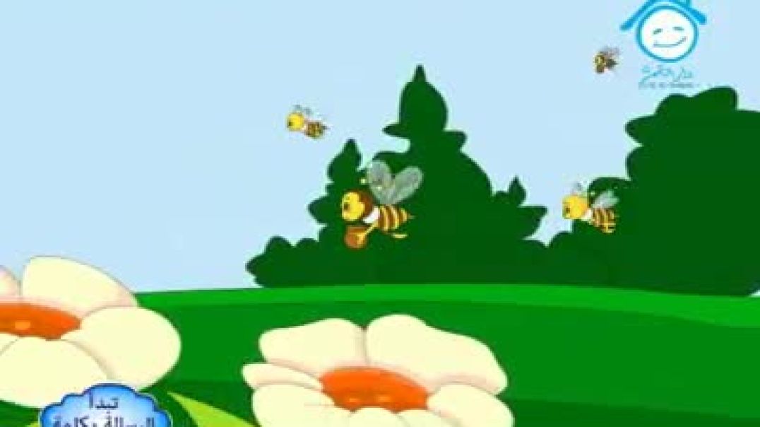 أنشودة مملكة النحل - قناة دار القمر
