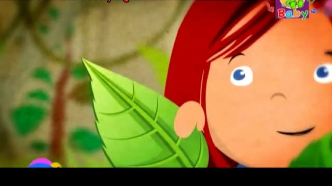 أنشودة الحواس الخمسة - طيور الجنة بيبي