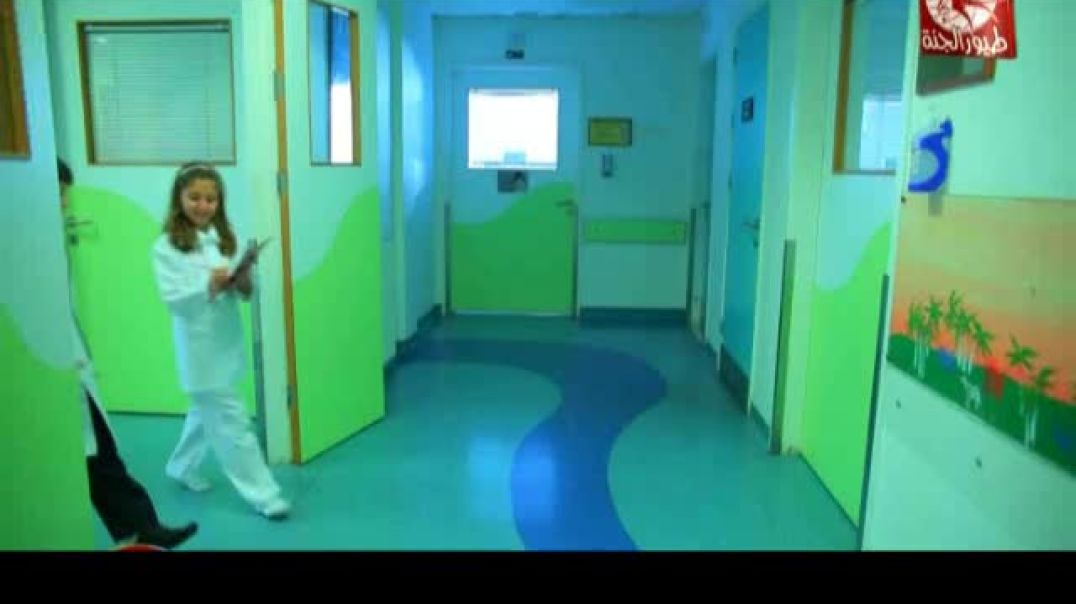 أنشودة الممرضة - طيور الجنة