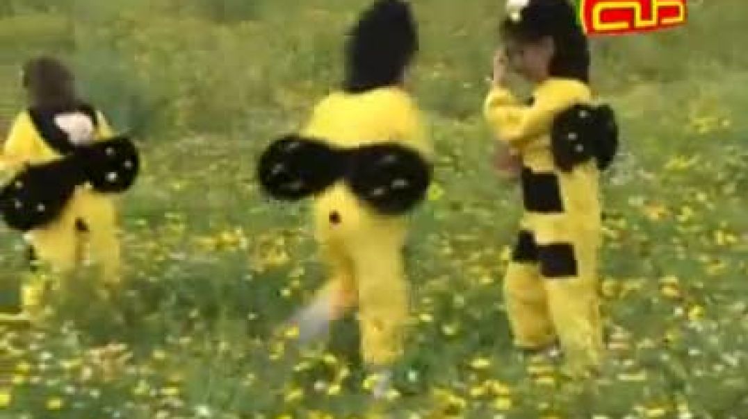 أنشودة النحلة - قناة طه