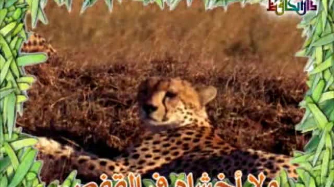 أنشودة أحب حديقة الحيوان - عنان الخياط