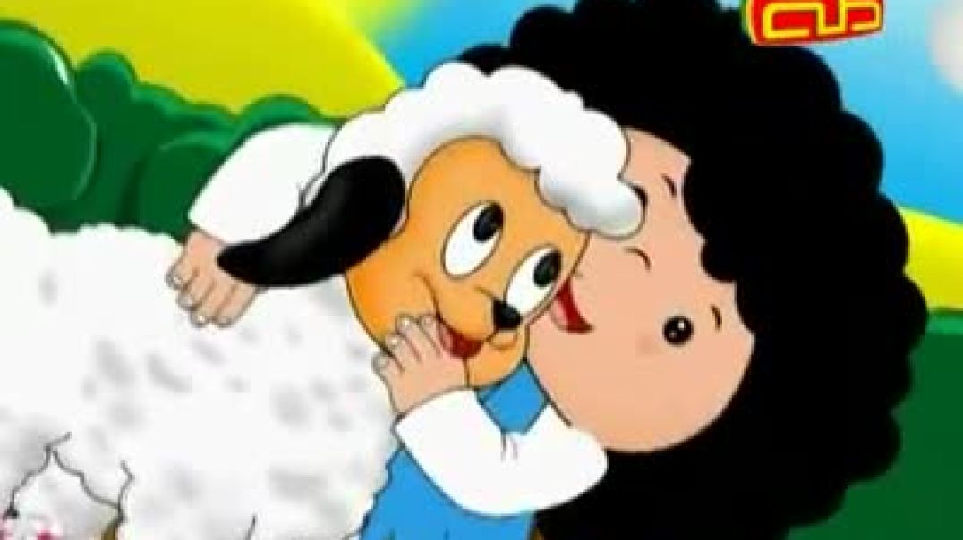 أنشودة النعجة - قناة طه