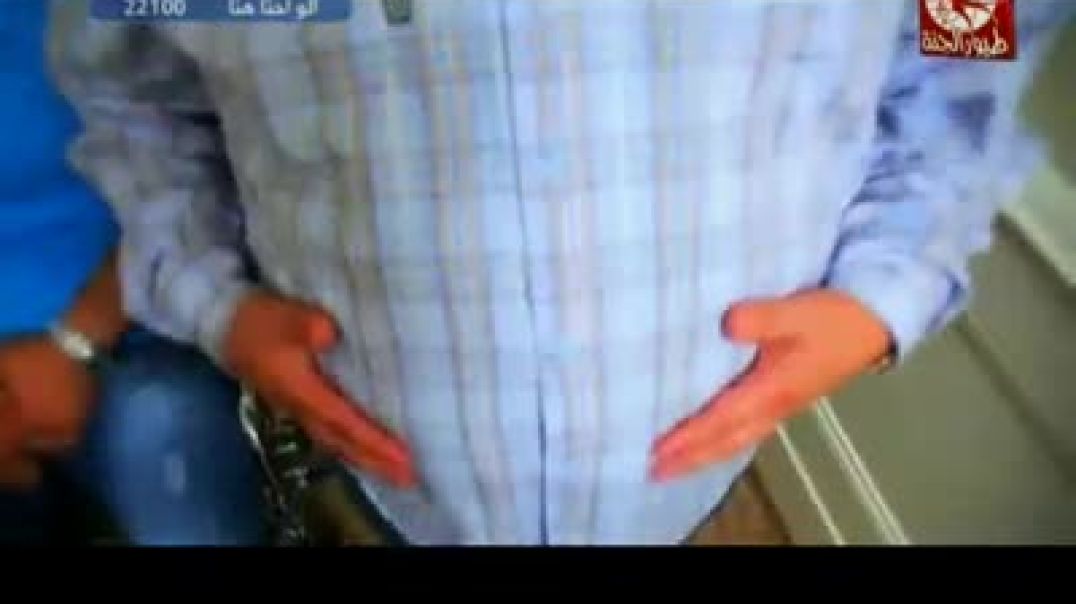 أنشودة المصعد - طيور الجنة