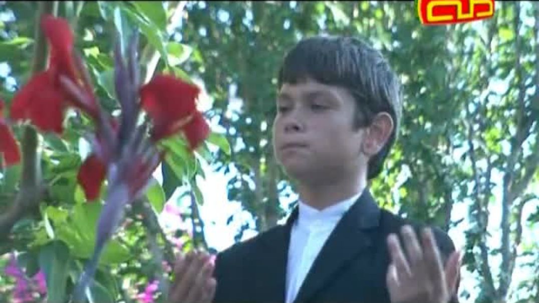 أنشودة سلام أنبياء الله - قناة طه