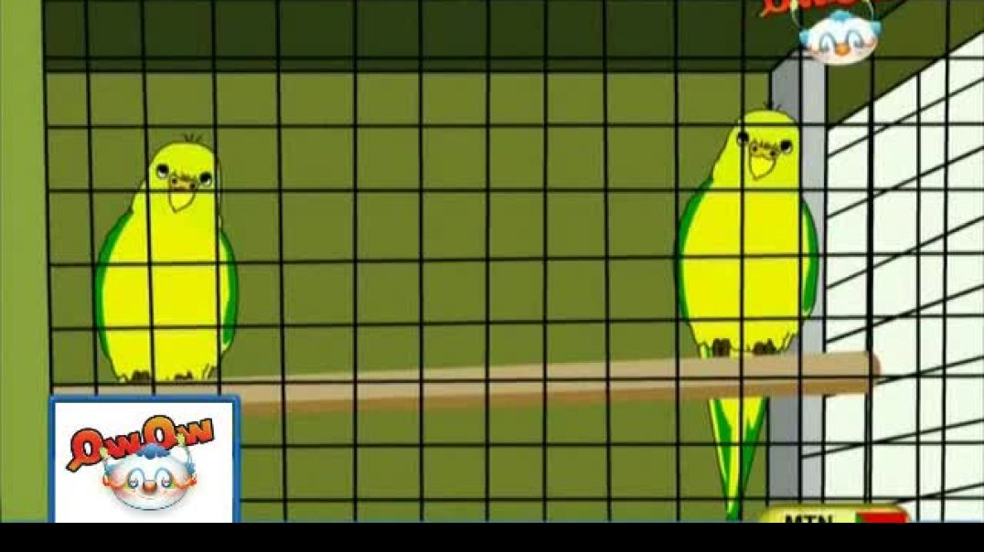 أنشودة طيور الحب - الثقة للإنتاج