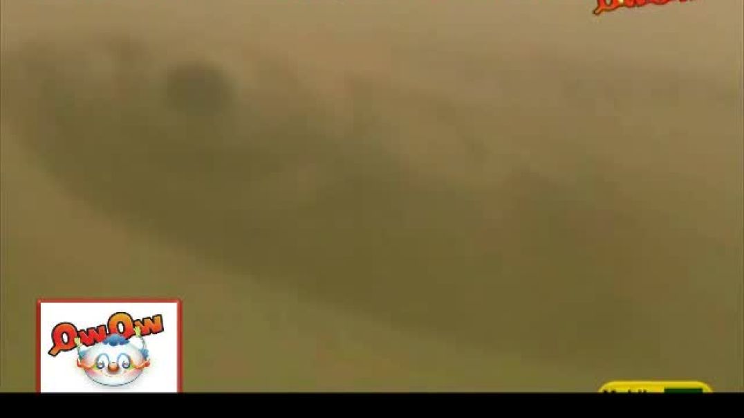 أنشودة السمكة - الثقة للإنتاج الفني