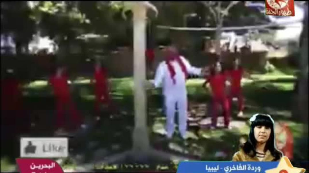 البيغاء الالوان بلال الكبيسي طيور الجنة