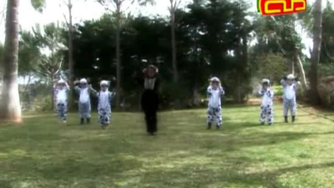 مخلوقات الله - البقرة - أنشودة و معلومات