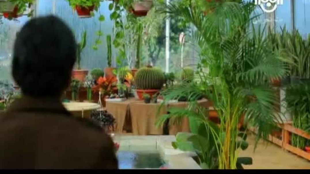 أنشودة يا حليلة - سيف مجدي - قناة نون