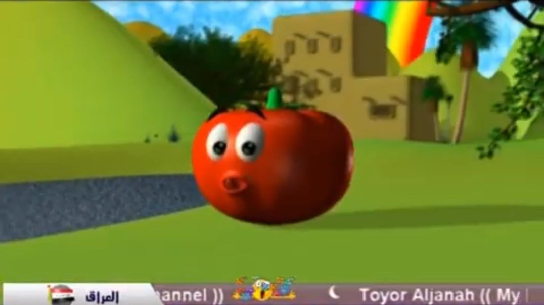 البندورة الحمراء طيور الجنة mpg