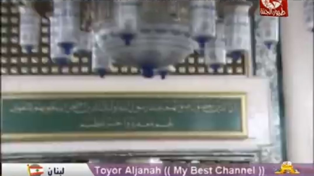 يا طيبة طيور الجنة mpg