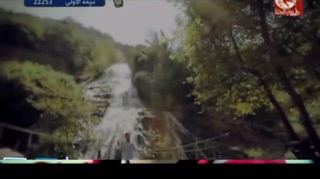 أنشودة عالنور - طيور الجنة