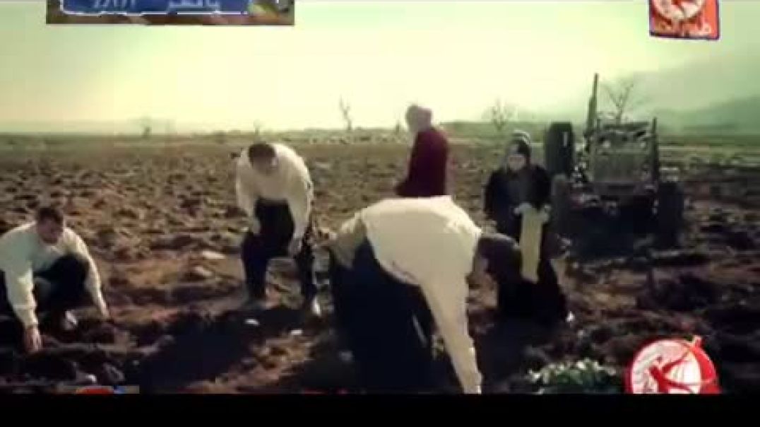 أنشودة فوق الخيال - طيور الجنة