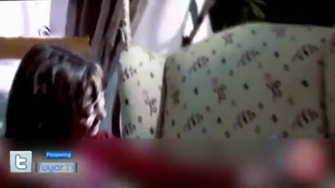 يا قطتي بدون إيقاع - طيور الجنة