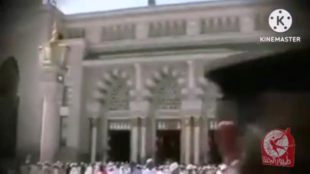 ياطيبة - عبد السلام حوى - طيور الجنة