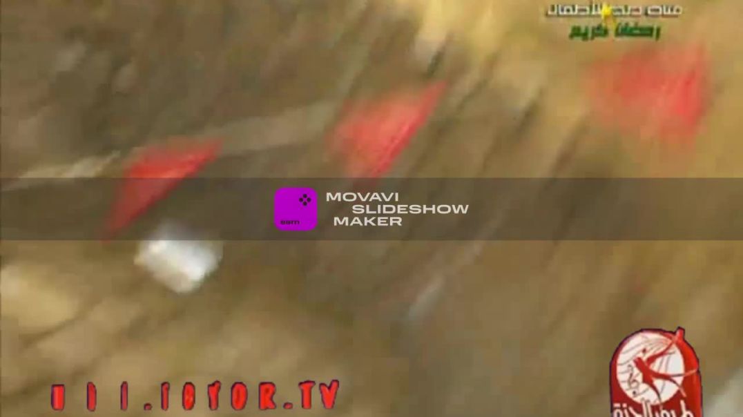 هلالك بشرانا طيور الجنة