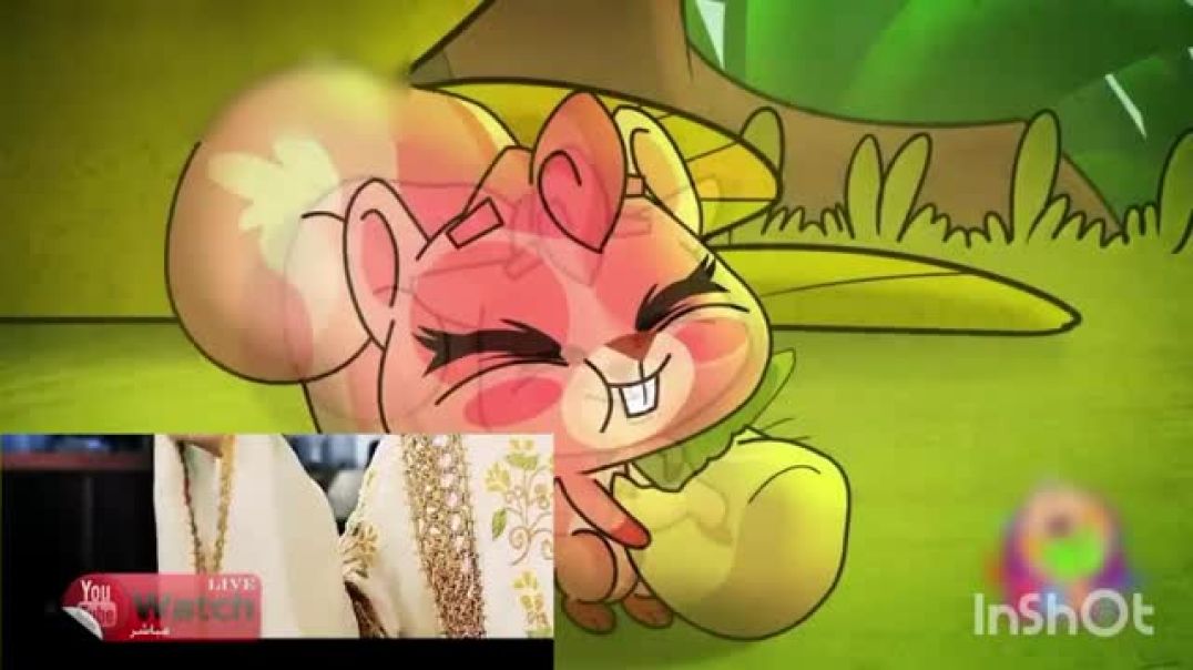 سنجوبة إيقاع - طيور الجنة