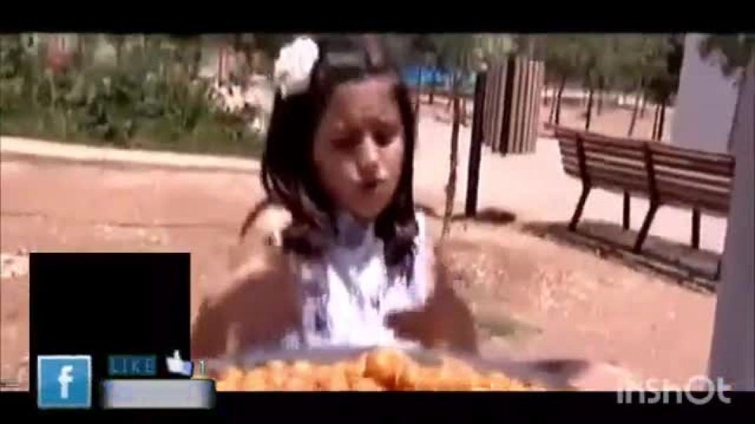 الحلوى المكشوفة بدون إيقاع - طيور الجنة