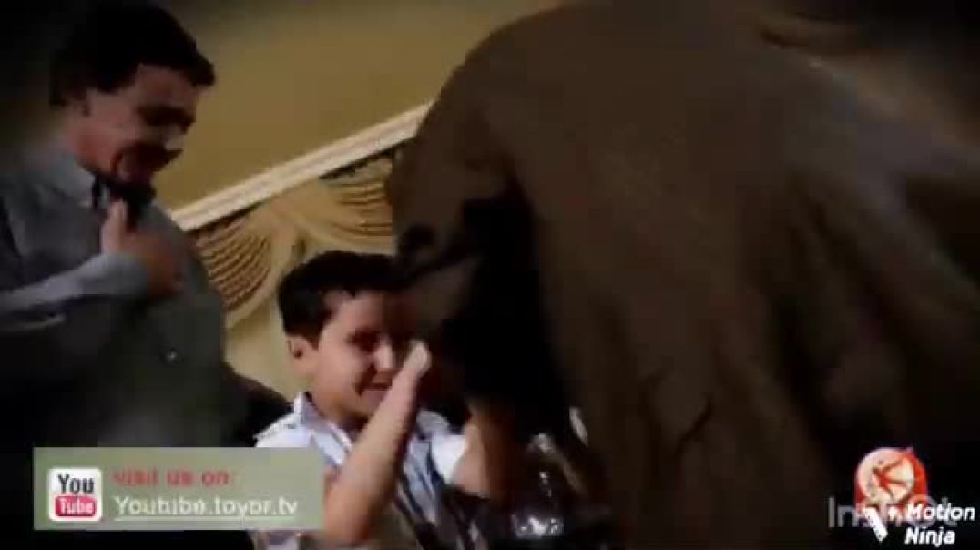 عيني واوا - رندة صلاح الكردي - النسخة الرسمية - Toyor Al Janah