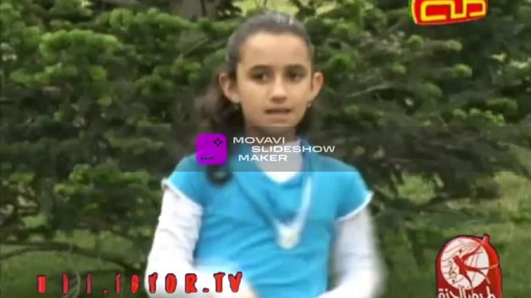 مخلوقات الله السلحفاه طيور الجنة 2011