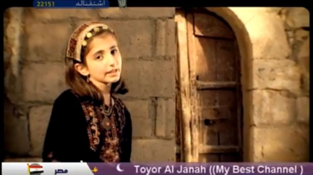 كنت قاعدة ديمة بشار mpg