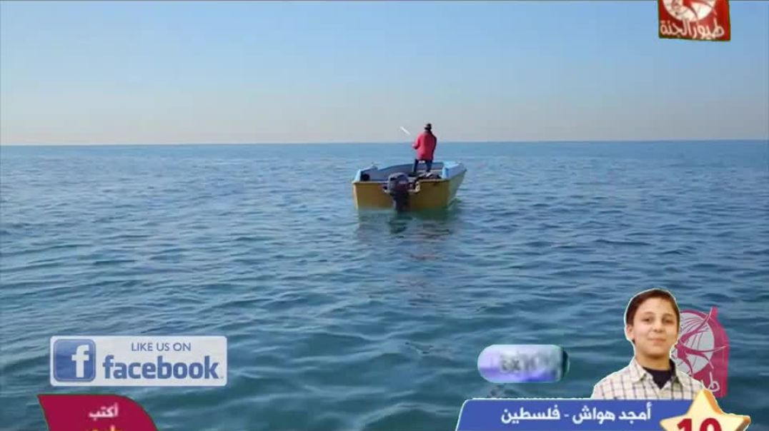 وتوكلنا على الله عمر الصعيدي - بدون إيقاع