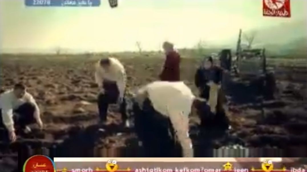 فوق الخيال عمر الصعيدي mpg