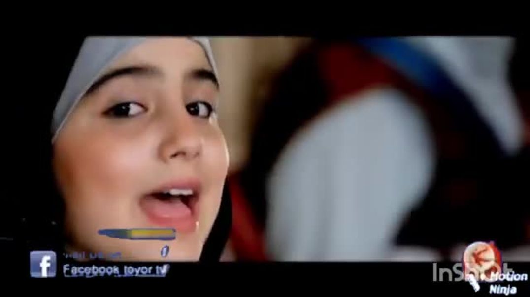 طل القمر - أمل قطامي - النسخة الرسمية - Toyor Al Janah