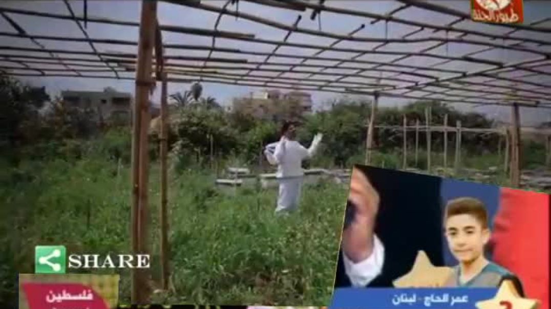 بابا بحبك عصومي ووليد مش مستحيل عمر الصعيدي طيور الجنة