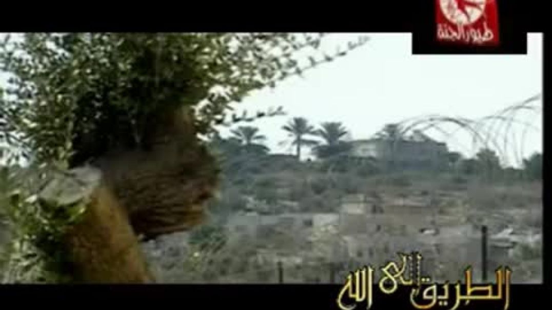 هم هنا - Toyor Al Janah