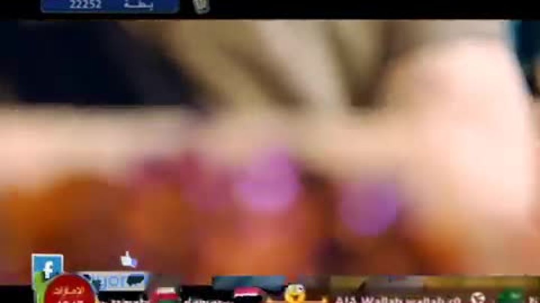 طيور الجنة مباشر 3