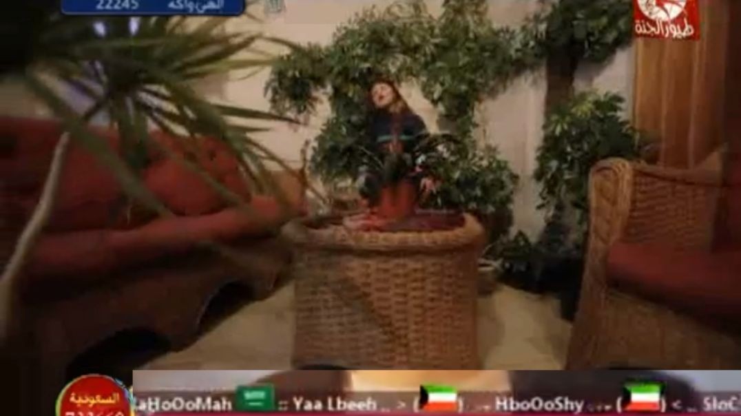 قمرة لين الصعيدي mpg