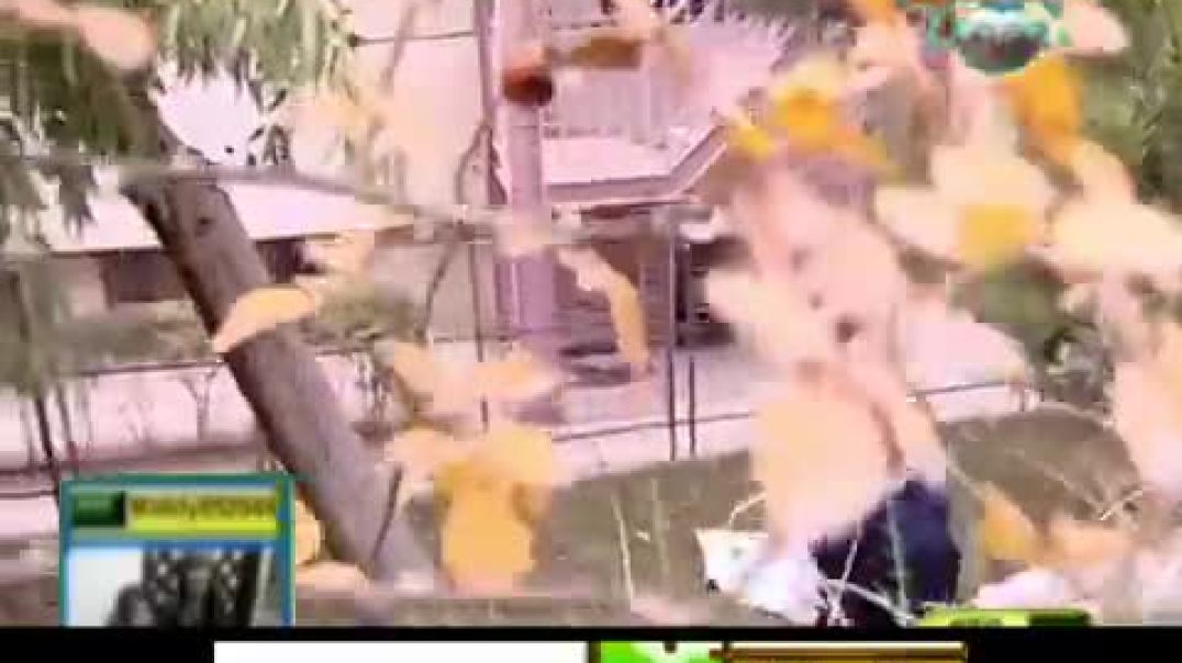 أنشودة مدرستي حديقتي