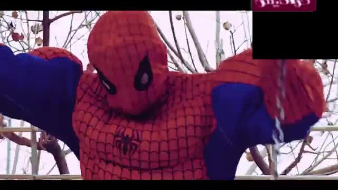 شبرة قمرة جوان بدون موسيقى قناة كراميش بلس 2019