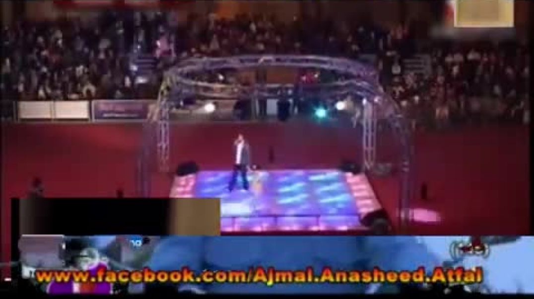 ماما وبابا - طيور الجنّة