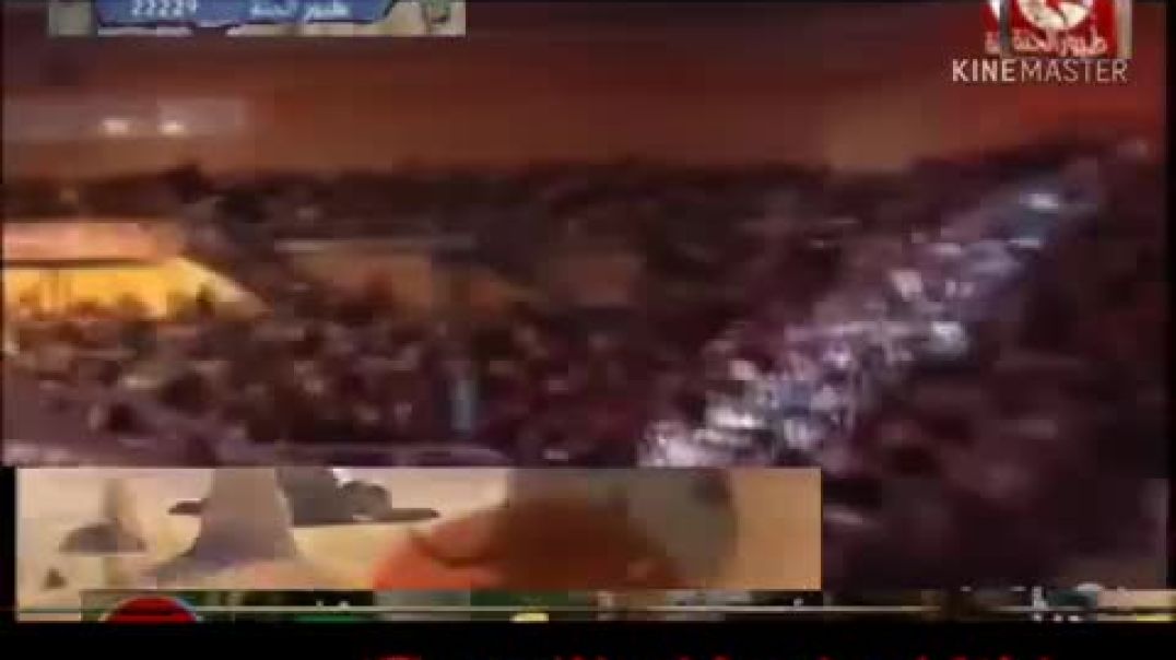 أنشودة سناني واوا - طيور الجنّة