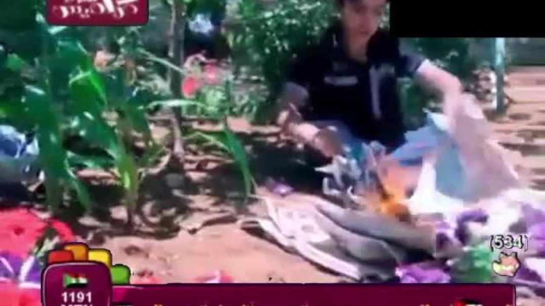 حريقة امل قطامي بدون موسيقى قناة كراميش بلس 2012