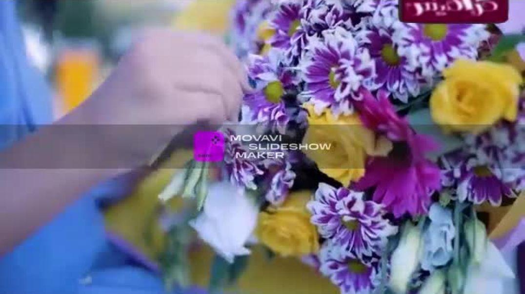 يا ويلي رأفت عواد زينة عواد نتالي مرايات لين الغيث بيسان صيام بدون موسيقى قناة كراميش بلس 2020