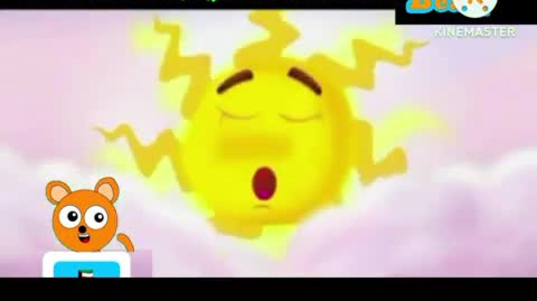 عنكبوت قناة beary