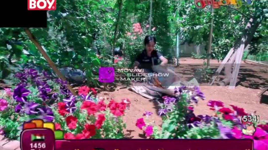 لية تعمل حريقة امل قطامي قناة كراميش 2012