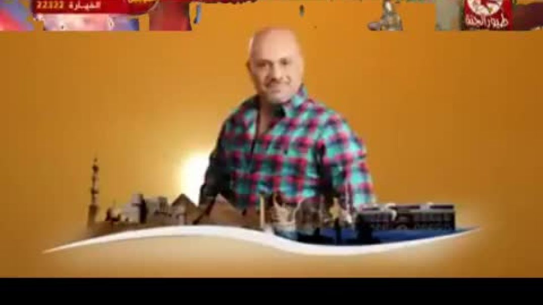 طيور الجنة في مصر 2012 - طيور الجنة